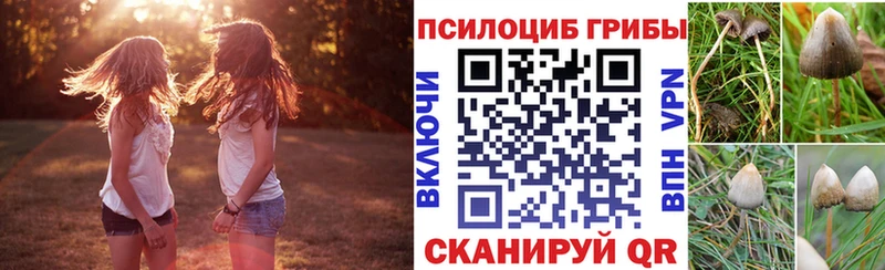 Галлюциногенные грибы MAGIC MUSHROOMS  Ядрин 